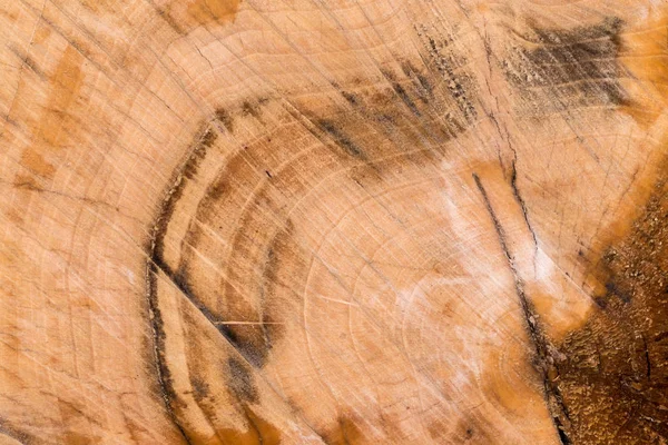 Rozkrájejte dřevo. — Stock fotografie