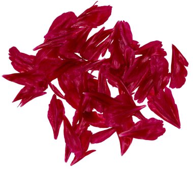 Şakayık yaprakları