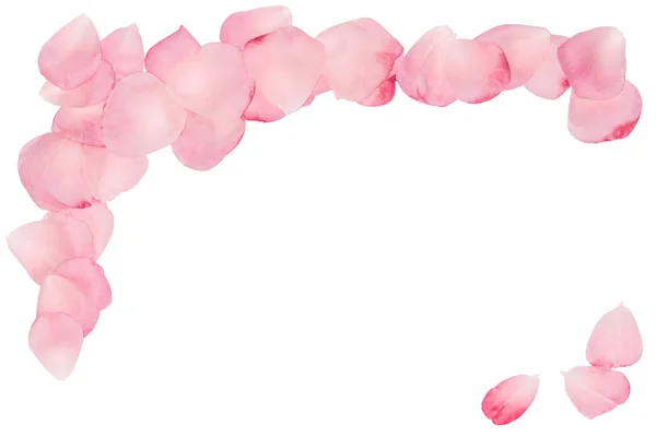 ピンクの花びらからコーナー。写真のフレーム。装飾的な見出し. — ストック写真