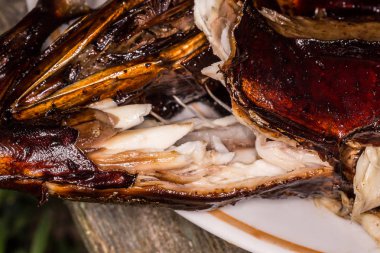 Sıcak füme balık. Füme et. Füme balık. Çavdar füme balık.