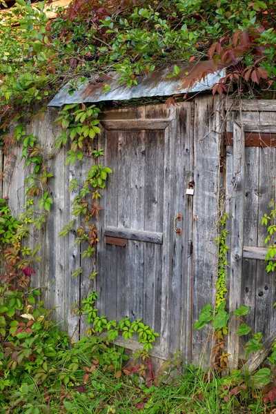 La vieja puerta de madera. Viejas tablas de madera sin pintar. Puerta cerrada. . — Foto de Stock