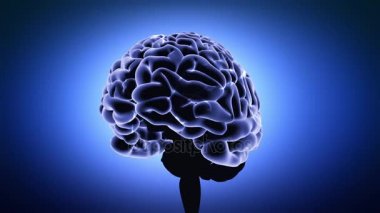 Mavi beyin çalışma