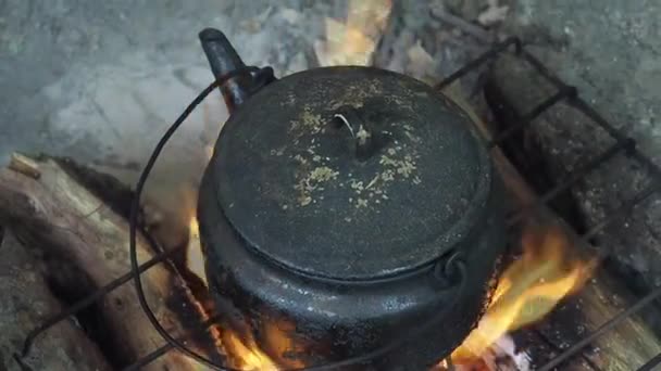 Bule de chá contra um fogo — Vídeo de Stock
