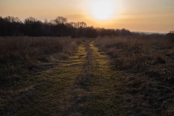 De weg naar het veld — Stockfoto