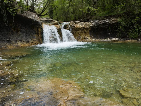Cachoeira na floresta. — Fotografia de Stock
