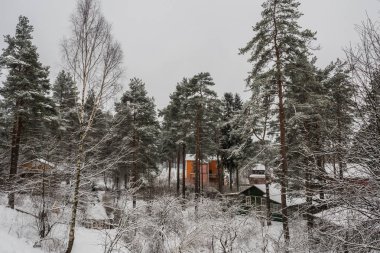 kış orman evde