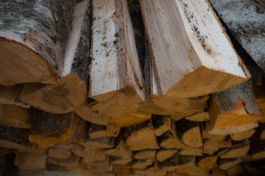 Düzgünce katlanmış huş yakacak odun.