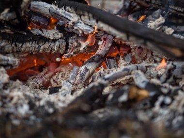 Açık havada küçük bir yangın. Ekran koruyucu Masaüstü için.