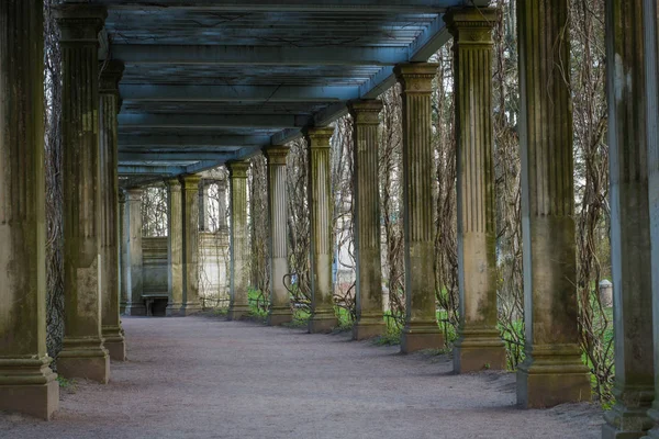 Anciennes colonnes. Tsarskoe Selo, Russie . Photo De Stock