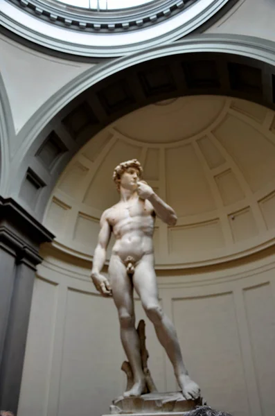 Het Beroemde Standbeeld Van David Een Museum Florence — Stockfoto