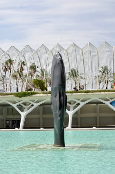 Ciudad Las Artes Las Ciencias Valencia —  Fotos de Stock