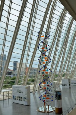 Valencia 'daki Bilim Müzesi' nde.