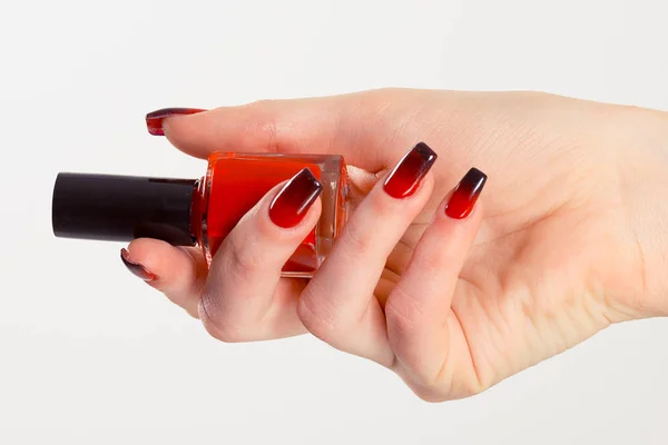 Esmalte de uñas. Manicura artística. Estilo moderno rojo negro degradado esmalte de uñas. Manos de belleza sosteniendo botella roja. Elegante colorido de moda uñas aisladas fondo blanco — Foto de Stock