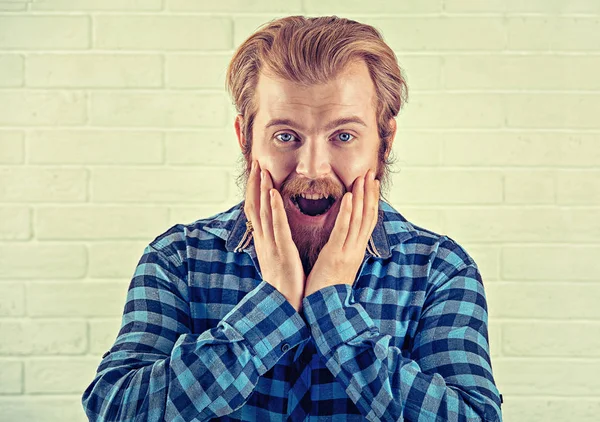 Retrato animado cara barbudo surpreso boca aberta casual homem camisa azul olhando para você câmera mãos em bochechas parede de tijolo branco. Amarelo Toned imagem horizontal. Emoção humana positiva expressão facial — Fotografia de Stock