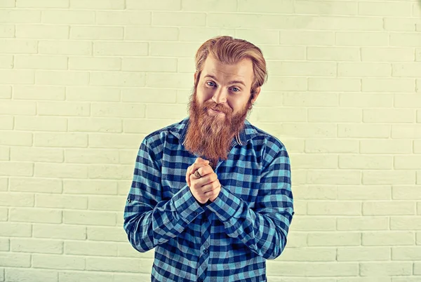 Retrato de un tipo barbudo riendo sonriente divertido hombre camisa azul casual mirando a la cámara que muestra gracias apretó las manos, agradecido por su gesto de buena fortuna pared de ladrillo blanco. Humano positivo — Foto de Stock