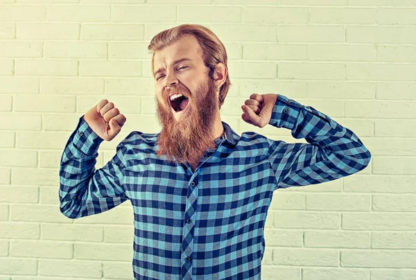 Cansado. Retrato de un tipo barbudo bostezando estirando las manos gesto boca abierta aislado fondo de pared de ladrillo blanco. Imagen tonal amarilla, horizontal. Emoción humana positiva, expresión facial — Foto de Stock