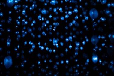 Siyah arka planda bulanık mavi çelenk ışığı. Bulanık Noel ve Yeni Yıl, bayram şablonlarını aydınlatır. Grafik tasarımı veya illüstrasyonunda bu eşsiz bulanık ışıkları kullan