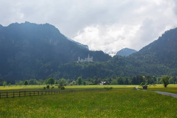 Landschaftlich Ländliche Wiese Bergige Und Waldreiche Landschaft Hintergrund Schloss Neuschwanstein — Stockfoto