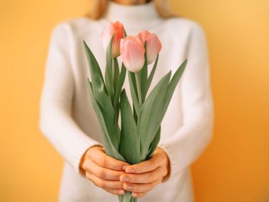 Sarı-turuncu arka planda izole edilmiş bir grup pembe lale, onları size veriyor. Seçici Odaklanma, Yatay Resim Görüntüsü