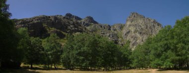 Covao d'Ametade Serra da Estrela, Portekiz, ağaçlar arasında takas