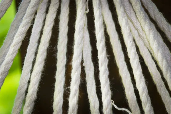 Εσωτερικη ελαστικοποιημένων λευκό σχοινί. Νήματα που υφαίνονται μαζί με μορφή σχοινί — Φωτογραφία Αρχείου