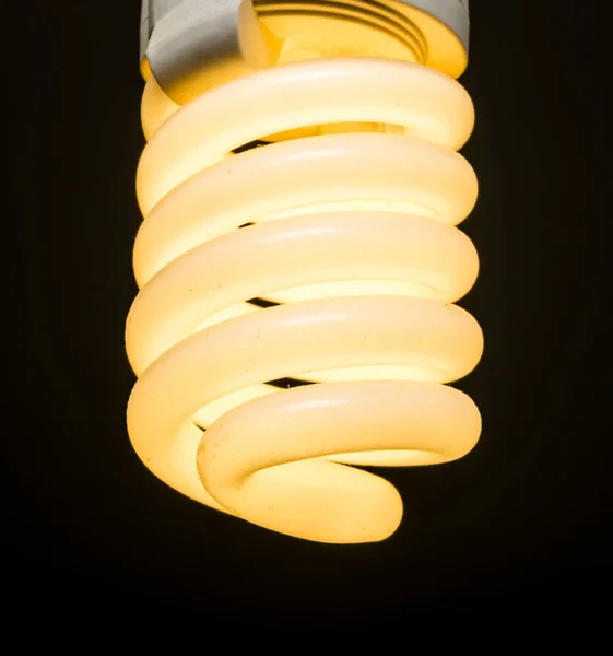 bright energy saving fluorescent light bulb
