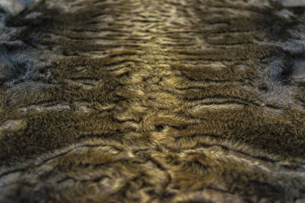 毛皮は灰色茶色カラクール ラムスキン テクスチャ、背景です。 — ストック写真
