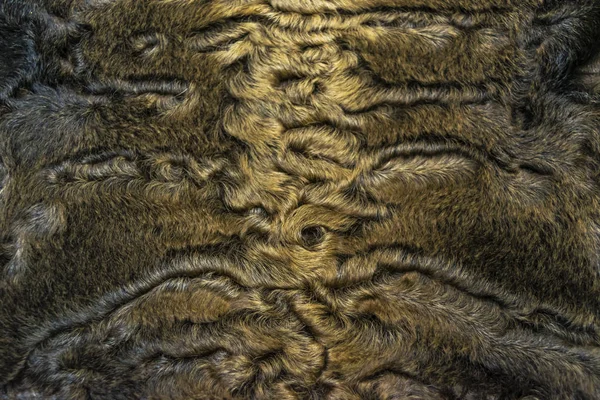 The fur is gray brown karakul lambskin texture, background — Stock Photo, Image