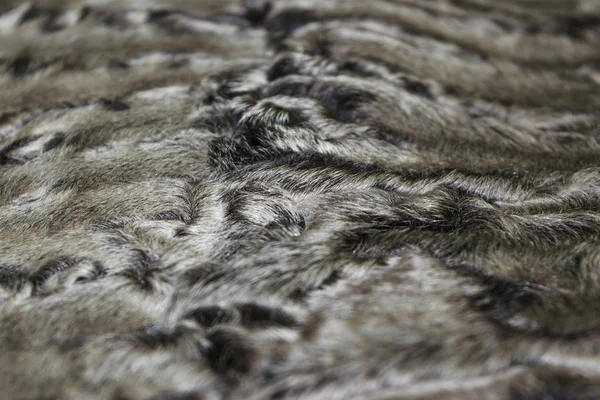 The fur is silver karakul lambskin texture, background — Stock Photo, Image