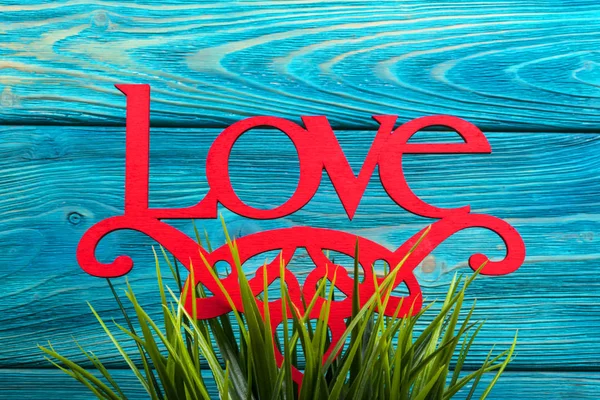Ordet kärlek på gräs och trä textur bakgrund — Stockfoto