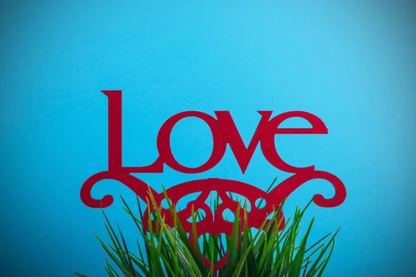 Ordet kärlek på gräs och blå textur bakgrund — Stockfoto