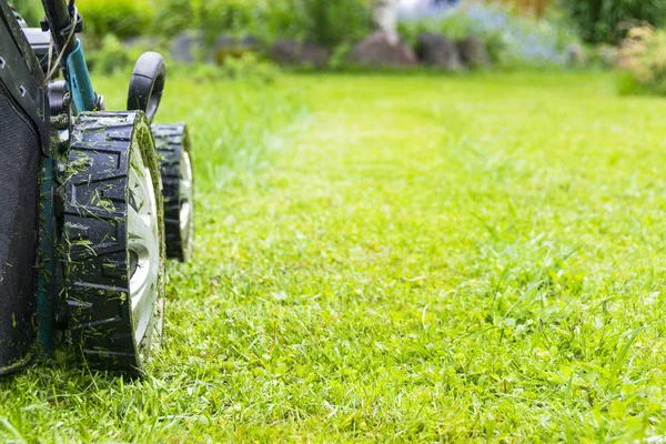 Cortar césped, Cortacésped en césped verde, cortacésped equipo de hierba, segadora herramienta de trabajo de cuidado del jardinero, vista de cerca, día soleado — Foto de Stock