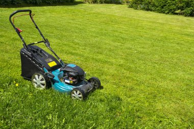 Çimenler çim biçme makinesi yeşil çim biçme makinesi çim ekipman bahçıvan bakım iş takım yakın görünümü güneşli gün biçme biçme