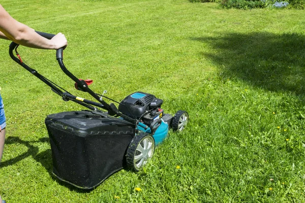 Belle fille coupe la pelouse. Faucher des pelouses. Tondeuse à gazon sur herbe verte. équipement d'herbe de tondeuse. tondre jardinier entretien outil de travail vue rapprochée journée ensoleillée — Photo