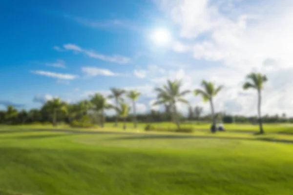 Sfocatura bella natura palma verde con bokeh sole onda di luce sfondo astratto. Copia lo spazio delle vacanze estive e il concetto di viaggio d'affari. Sfondo tropicale sfocato — Foto Stock