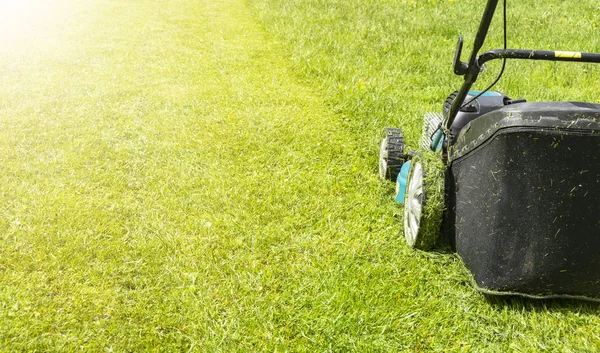 Klippa Gräsmattor Gräsklippare Grönt Gräs Gräsklipparen Gräs Utrustning Slåtter Trädgårdsmästare — Stockfoto