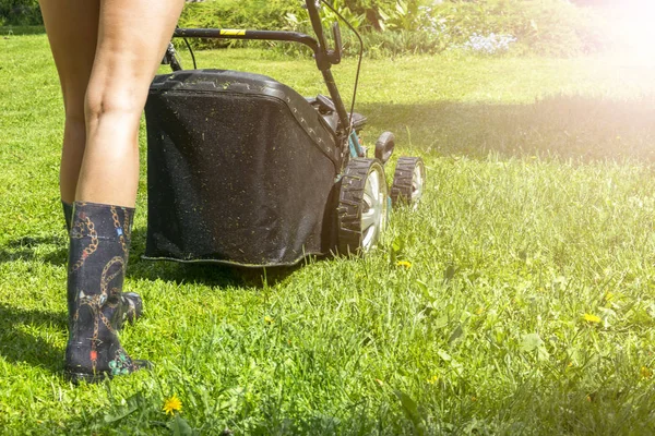 Beautiful girl cuts the lawn, Mowing lawns, Lawn mower on green grass, mower grass equipment, mowing gardener care work tool, close up view, sunny day. Soft lightining