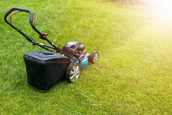 Slåtter Gräsmattor Gräsklippare Grönt Gräs Gräsklipparen Gräs Utrustning Slåtter Trädgårdsmästare — Stockfoto