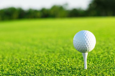 Golf sahasında golf topu gün batımında bulanık yeşil bir arazide. Bulanık yeşil bir sahada golf topu.. 