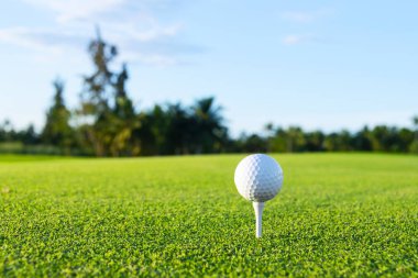 Golf sahasında golf topu gün batımında bulanık yeşil bir arazide. Bulanık yeşil bir sahada golf topu.. 