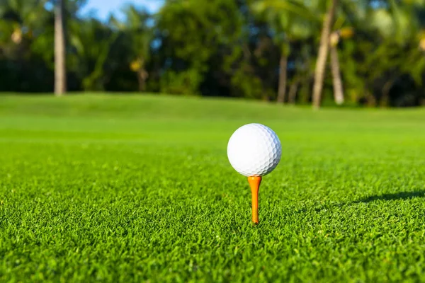 Piłka golfowa na tee na polu golfowym nad rozmazanym zielonym polem o zachodzie słońca. Golf piłka na tee nad niewyraźne zielone pole. — Zdjęcie stockowe