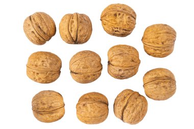 Beyaz arka planda ceviz. Beyaz arka planda izole edilmiş ceviz ağacının yakın plan görüntüsü. Beyaz arkaplanda bir grup ceviz..