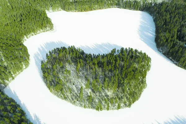 Aerial view of frozen wild forest lake at winter time. Small frozen lake in green pine tree forest. Landscape with lake. Aerial view of lake from above