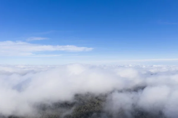 Nuvens Vista Aérea Sobre Floresta Lago Vista Drone Vista Aérea — Fotografia de Stock