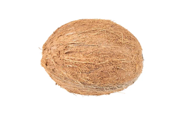 Kokosnuss Isoliert Auf Weißem Hintergrund Ganze Rohe Kokosnuss Isoliert Über — Stockfoto