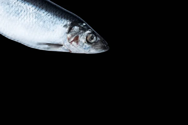 Peces Arenque Aislados Sobre Fondo Negro Grupo Congelado Peces Peces —  Fotos de Stock