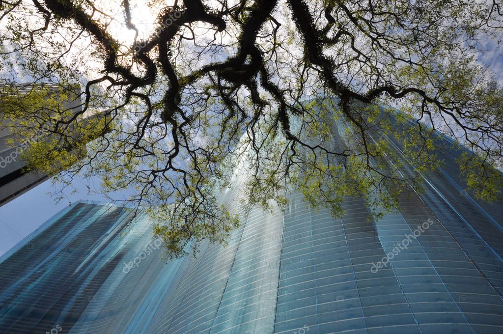 Copan Building in Sao Paulo, Brazil Stock Editorial Photo © cargol