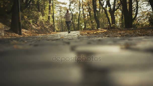 Gros plan des pieds d'un coureur, courant dans les feuilles d'automne. Exercice d'entraînement — Video