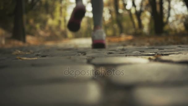 Nahaufnahme der Füße eines Läufers, der im Herbstlaub läuft. Trainingsübung — Stockvideo