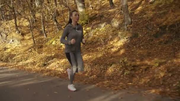 Atleta feminina correndo na estrada da floresta — Vídeo de Stock